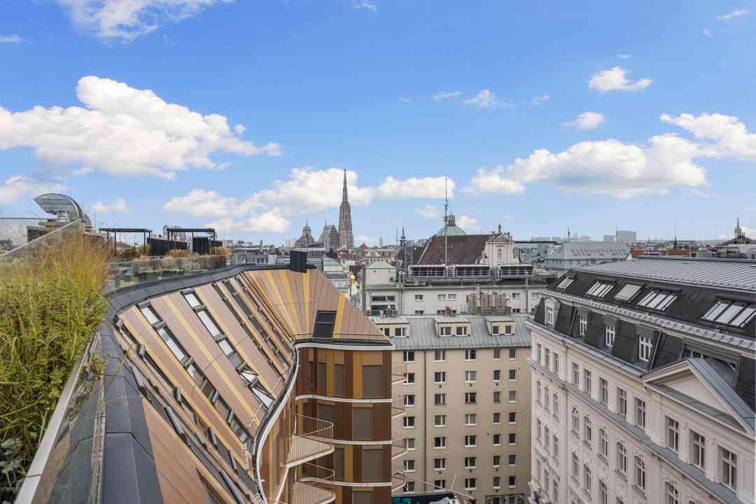 Фотография: Ausblick/Stephansdom