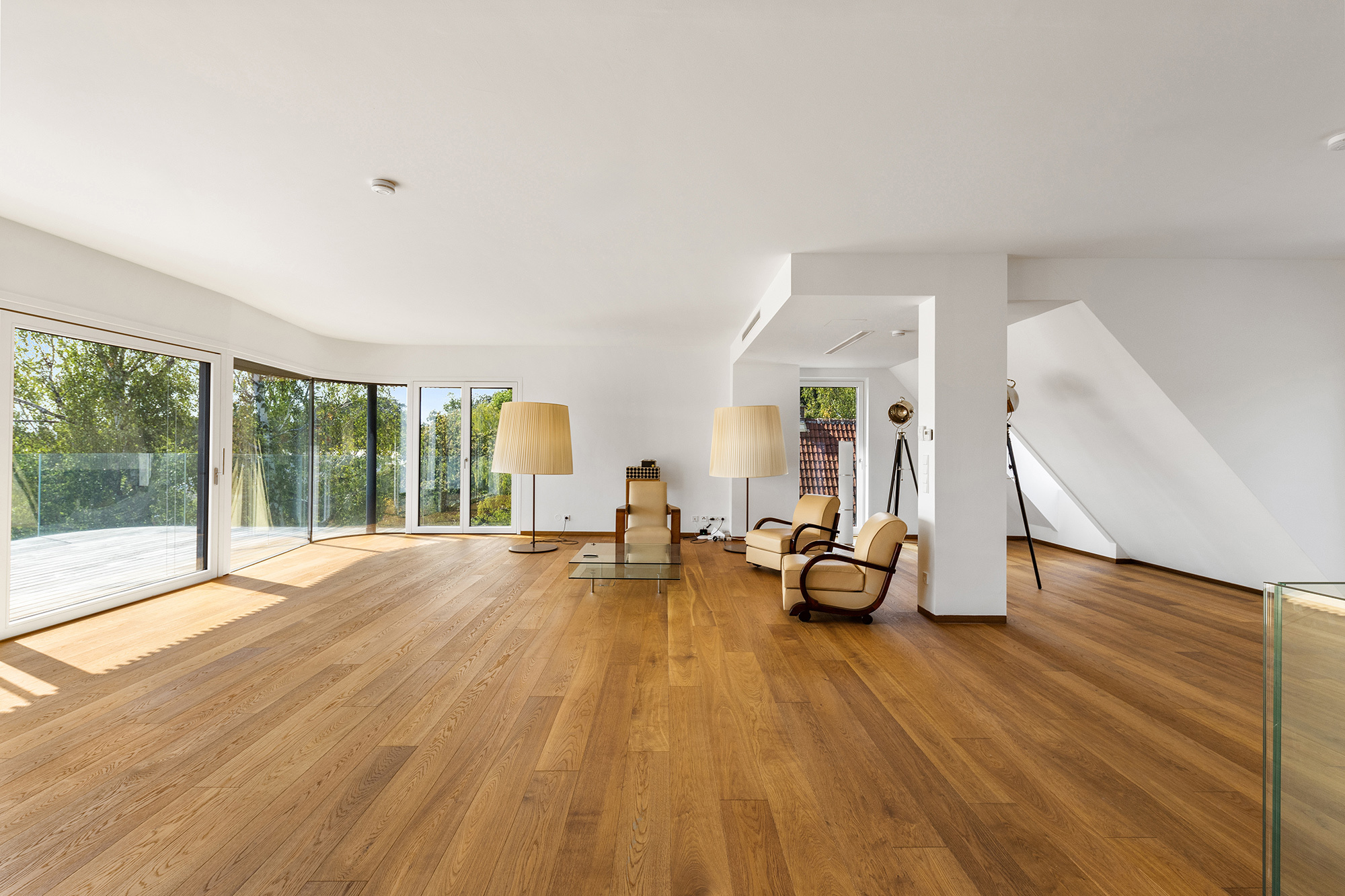 Blick in den Wohnsalon vom Eingang aus Blick in den Wohnsalon vom Eingang aus