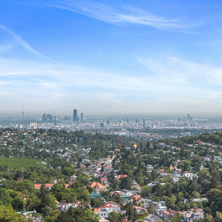 Wienblick