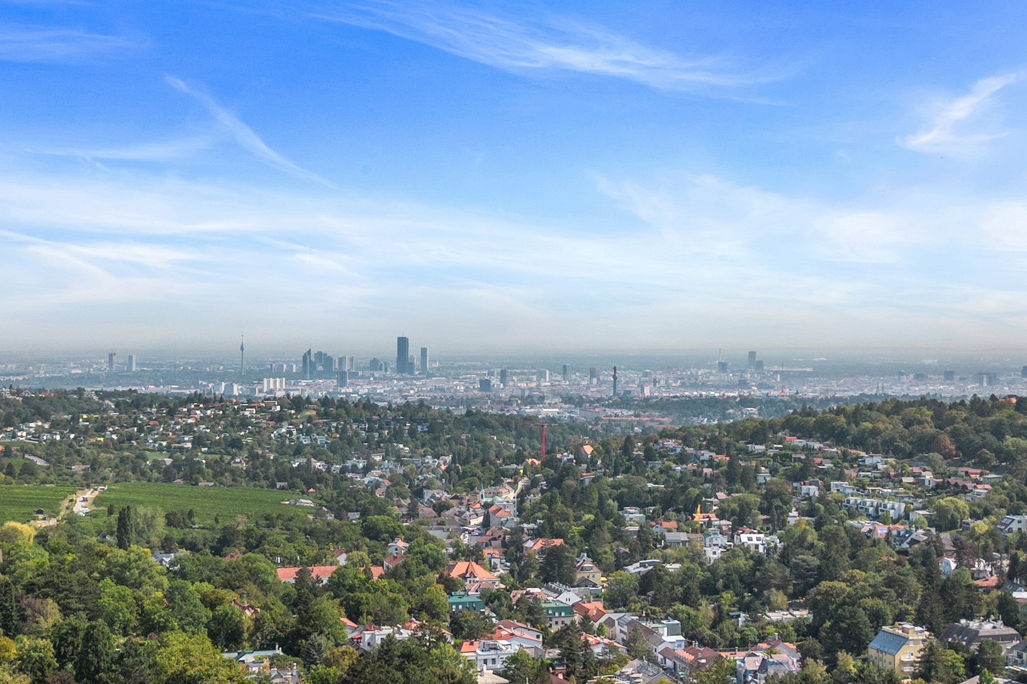 Wienblick Wienblick