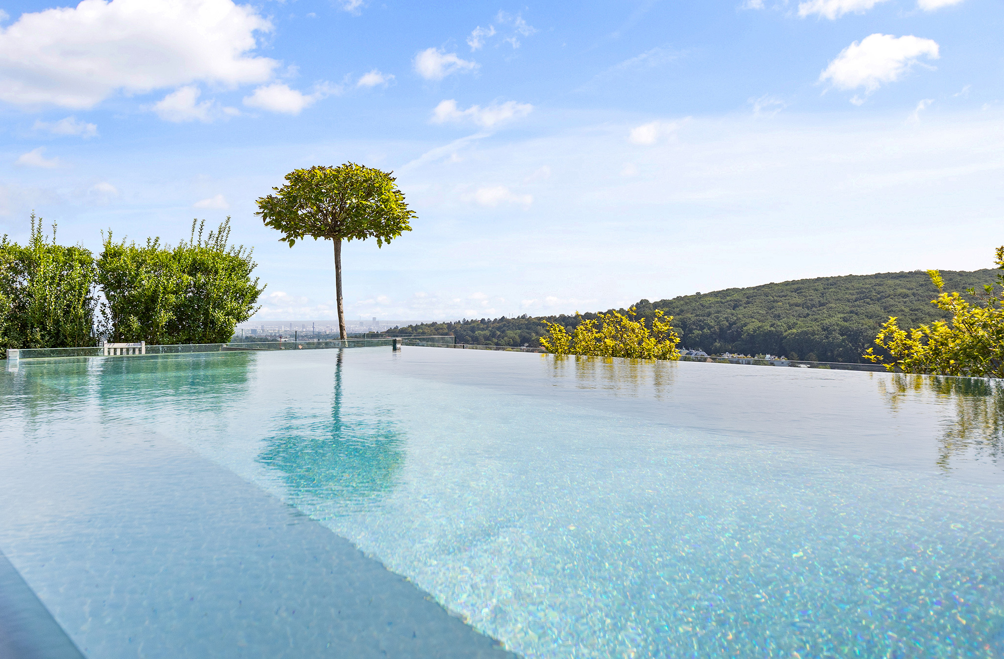 Pool mit Wienblick Pool mit Wienblick