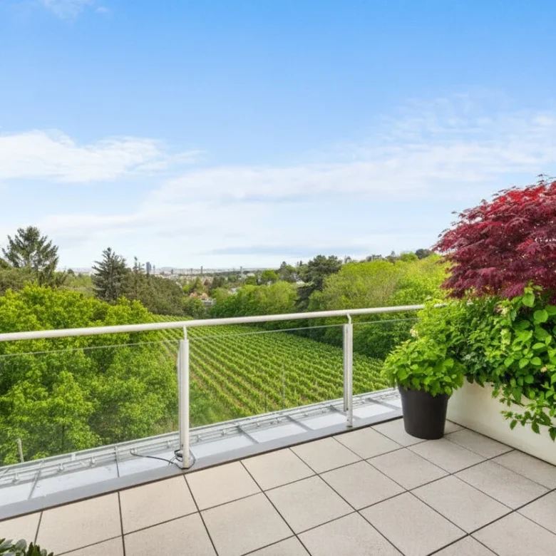 Terrasse / Ausblick