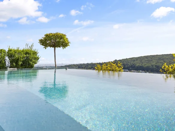 Pool mit Wienblick